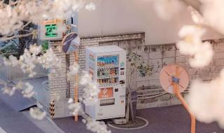 在线用名字作诗 在线用名字作诗