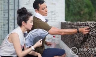 李冰冰个人资料简历 李冰冰个人资料简历